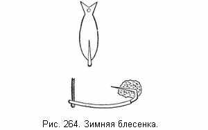 Зимняя блесенка